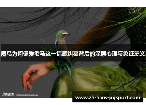 魔鸟为何偏爱老马这一情感纠葛背后的深层心理与象征意义