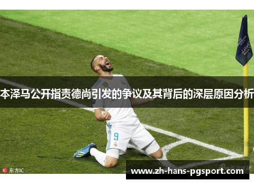 本泽马公开指责德尚引发的争议及其背后的深层原因分析